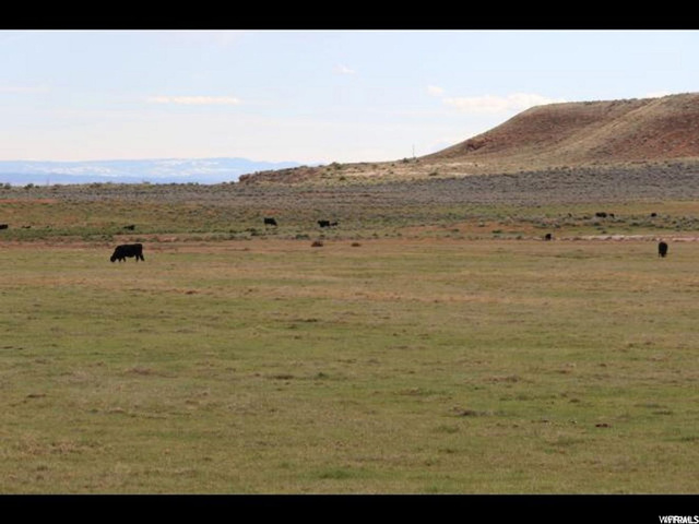 4689 N 10500 E, Lapoint, UT 84039 — photo 9