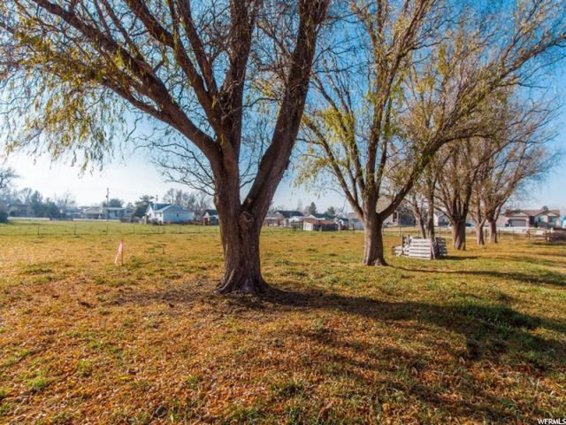 2930 W 6000 S, Roy, UT 84067 — photo 12