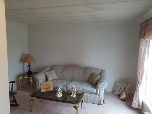 285 E 200 N, Mt Pleasant, UT 84647 — photo 3