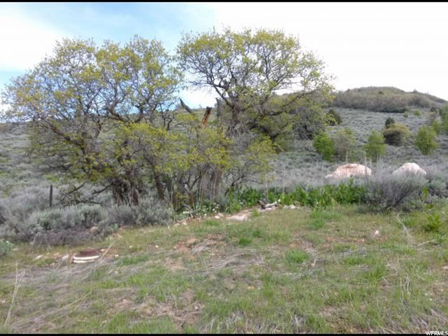 5024 E Snowflake Dr N #23, Eden, UT 84310 — photo 11