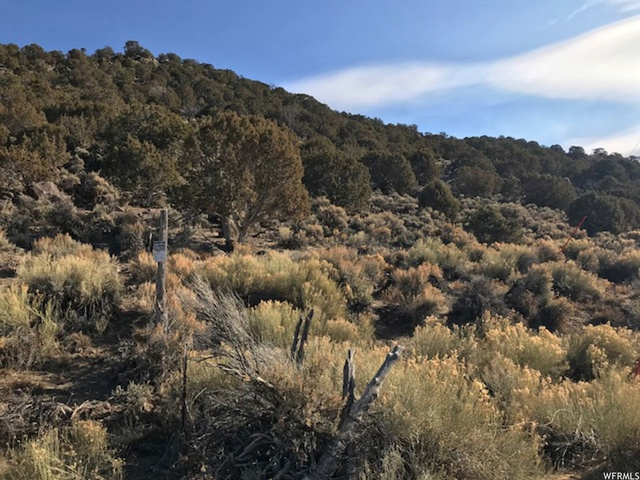 1 1, Fish Lake, UT 84701 — photo 5