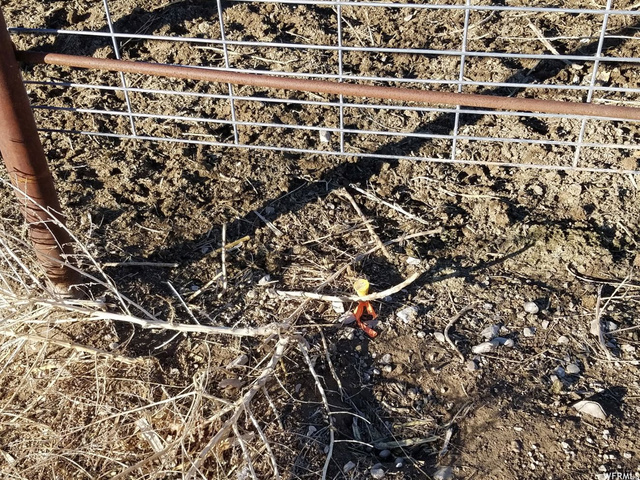 285 W 100 S, Mona, UT 84645 — photo 8