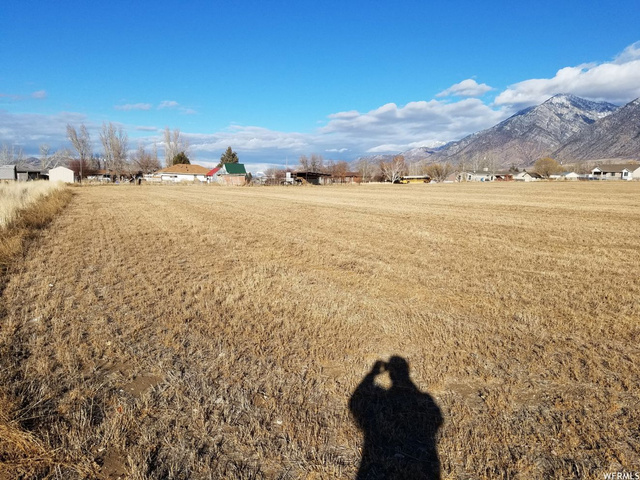 285 W 100 S, Mona, UT 84645 — photo 6