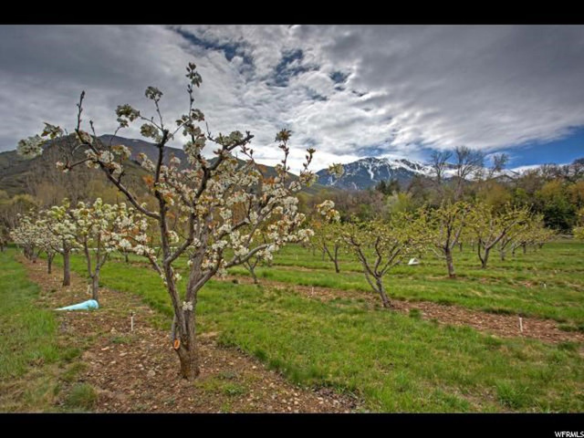 1989 N 2000 E, Mapleton, UT 84664 — photo 8