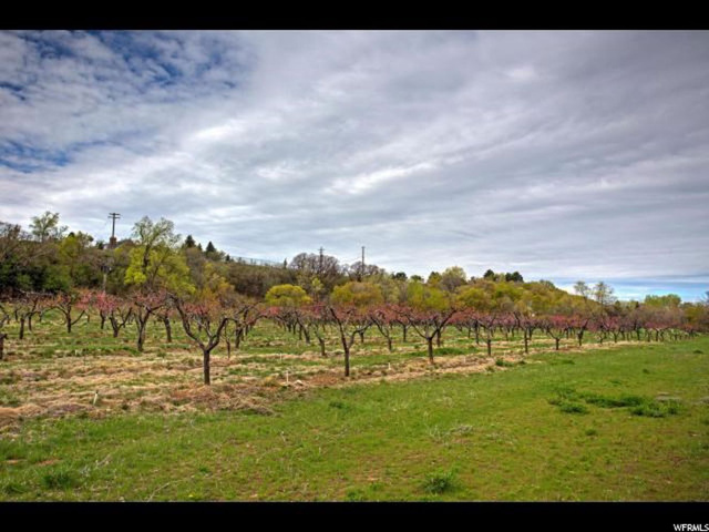 1989 N 2000 E, Mapleton, UT 84664 — photo 9