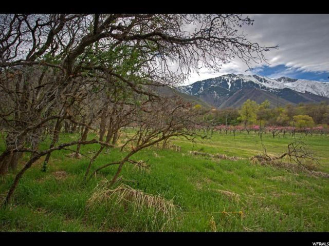 1989 N 2000 E, Mapleton, UT 84664 — photo 10
