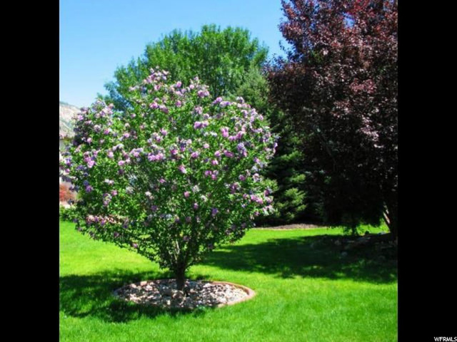 2474 N 650 E, North Ogden, UT 84414 — photo 6