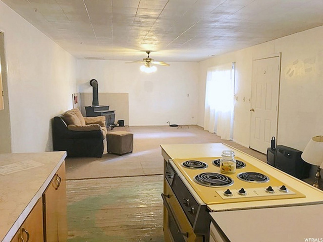95 E 300 N, Snowville, UT 84336 — photo 5