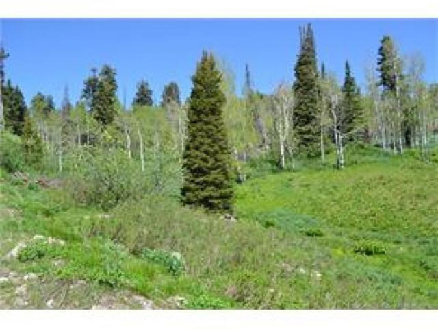 1732 Alexander Cyn #D91, Wanship, UT 84017 — photo 3