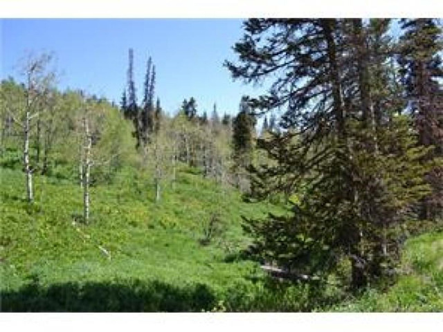 1732 Alexander Cyn #D91, Wanship, UT 84017 — photo 4