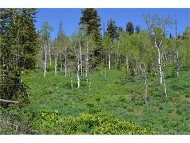 1732 Alexander Cyn #D91, Wanship, UT 84017 — photo 5