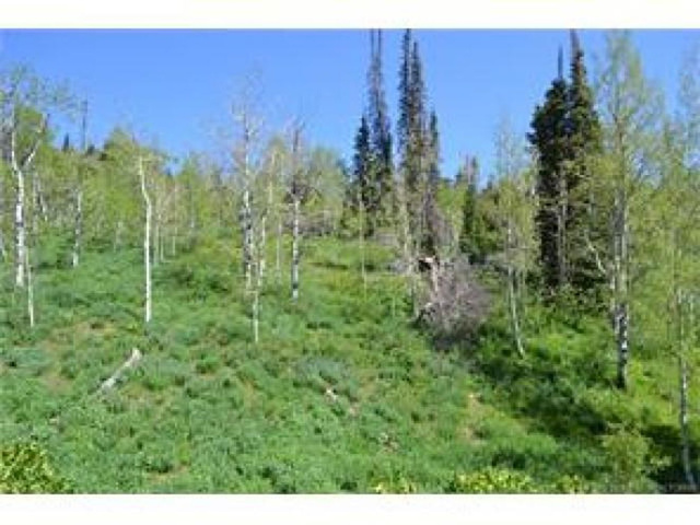 1732 Alexander Cyn #D91, Wanship, UT 84017 — photo 6
