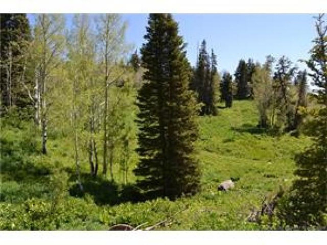 1732 Alexander Cyn #D91, Wanship, UT 84017 — photo 2
