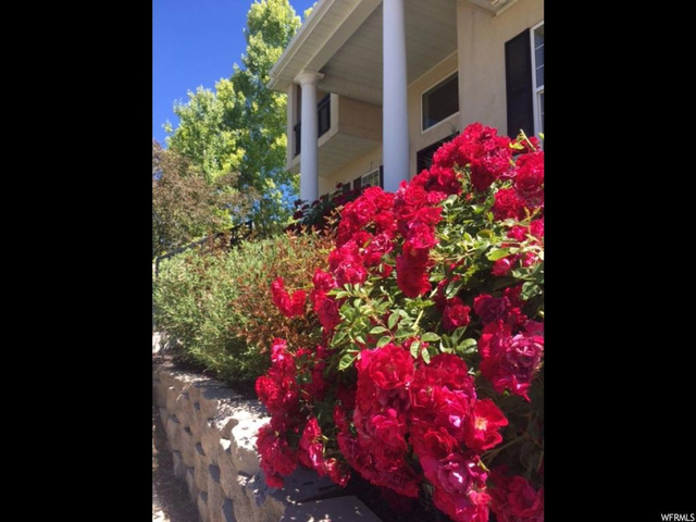 210 Abbey Ln, Providence, UT 84332 — photo 5