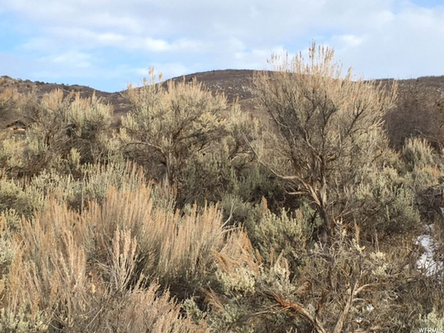65 Pole Dr E #23, Heber City, UT 84032 — photo 4