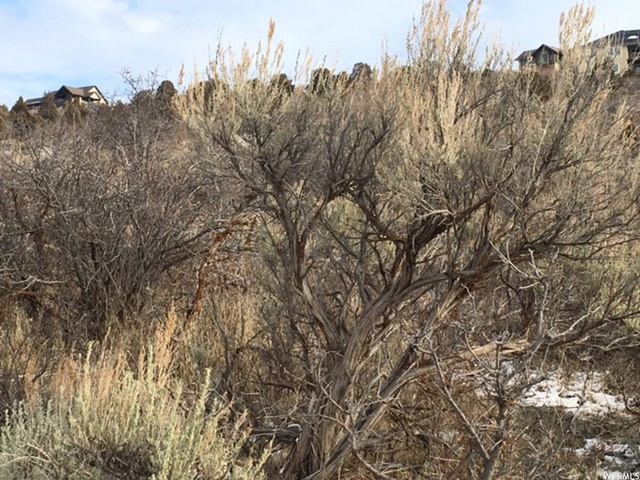 65 Pole Dr E #23, Heber City, UT 84032 — photo 5