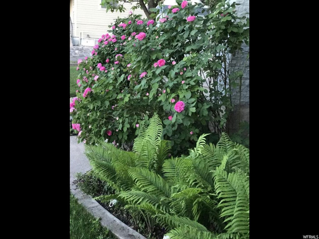 368 E 300 N, Logan, UT 84321 — photo 12