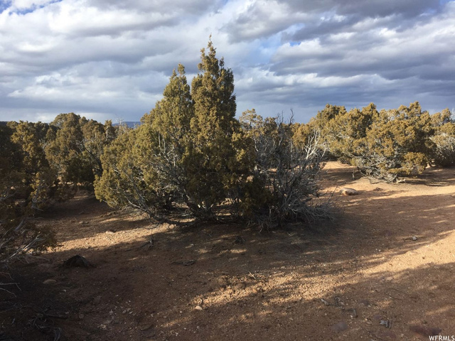 #6, Neola, UT 84053 — photo 7