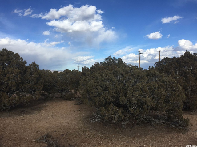 #6, Neola, UT 84053 — photo 5