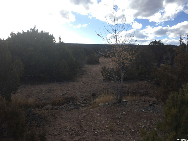 #6, Neola, UT 84053 — photo 11