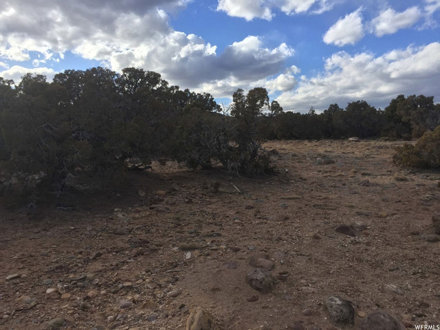 #6, Neola, UT 84053 — photo 8