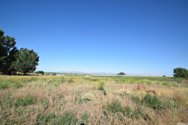 7902 S 1050 W #7, Willard, UT 84340 — photo 5