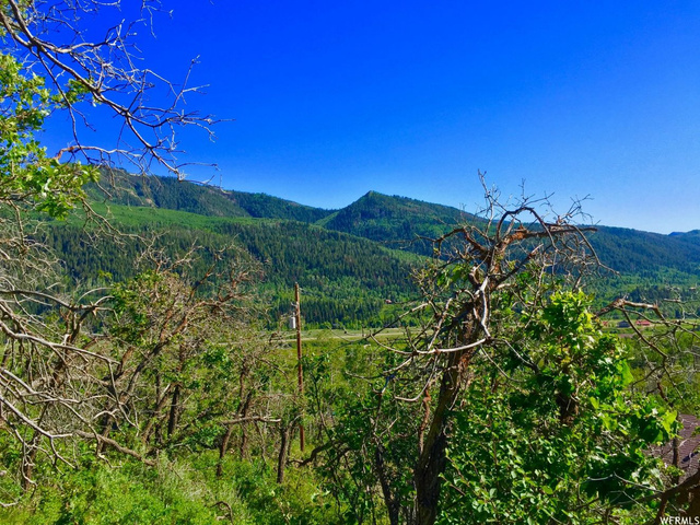 8 Escalate #8, Oakley, UT 84055 — photo 5