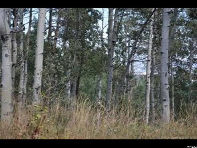 2481 Forest Meadow Rd #D91, Wanship, UT 84017 — photo 4