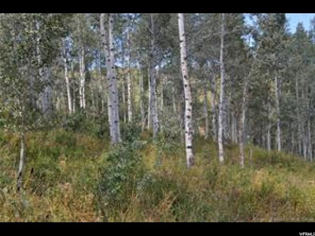 2481 Forest Meadow Rd #D91, Wanship, UT 84017 — photo 5