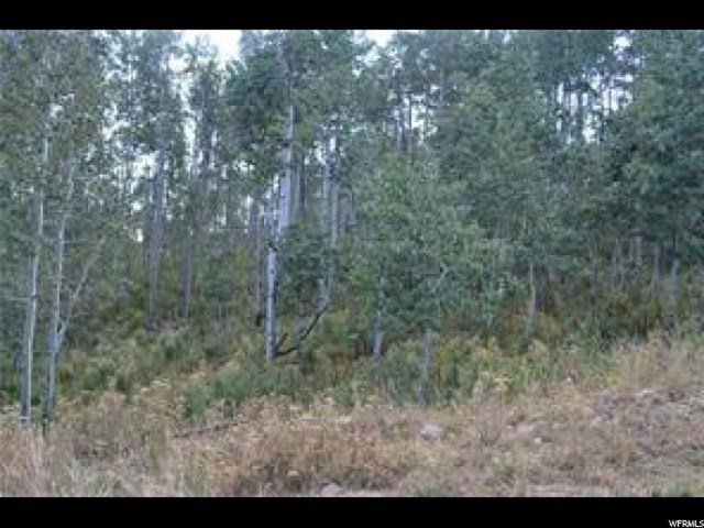 2481 Forest Meadow Rd #D91, Wanship, UT 84017 — photo 3