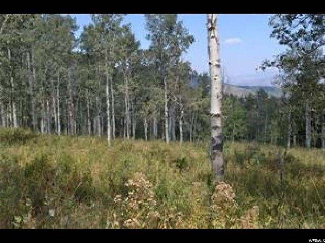 2481 Forest Meadow Rd #D91, Wanship, UT 84017 — photo 2