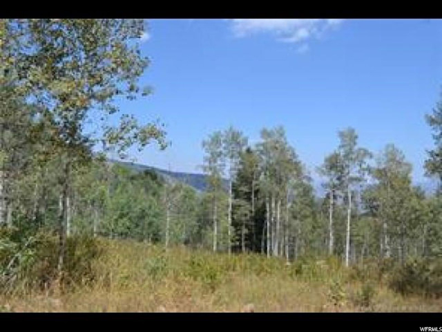 2481 Forest Meadow Rd #D91, Wanship, UT 84017 — photo 6