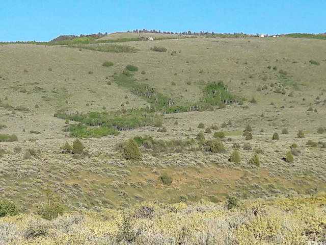 Ant Flat Rd #8, Hyrum, UT 84319 — photo 9