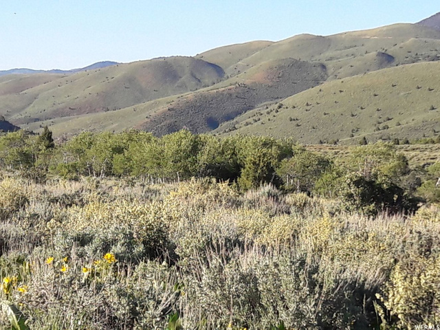 Ant Flat Rd #8, Hyrum, UT 84319 — photo 10