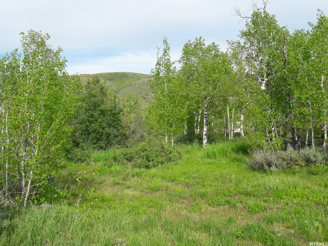 S Ant Flat Rd #0035, Hyrum, UT 84319 — photo 2