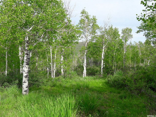 S Ant Flat Rd #0035, Hyrum, UT 84319 — photo 3