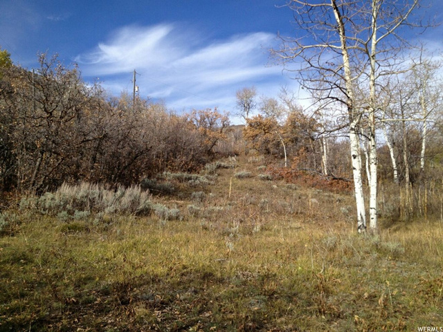 141 Ute Trail Rd, Oakley, UT 84055 — photo 2