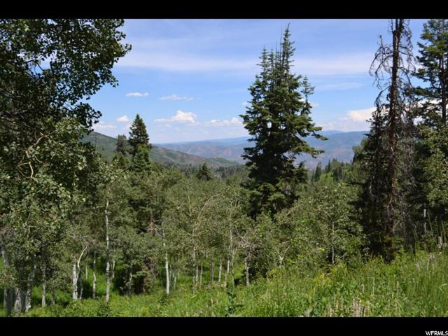 2110 W Pine Loop Rd #44, Wanship, UT 84017 — photo 2