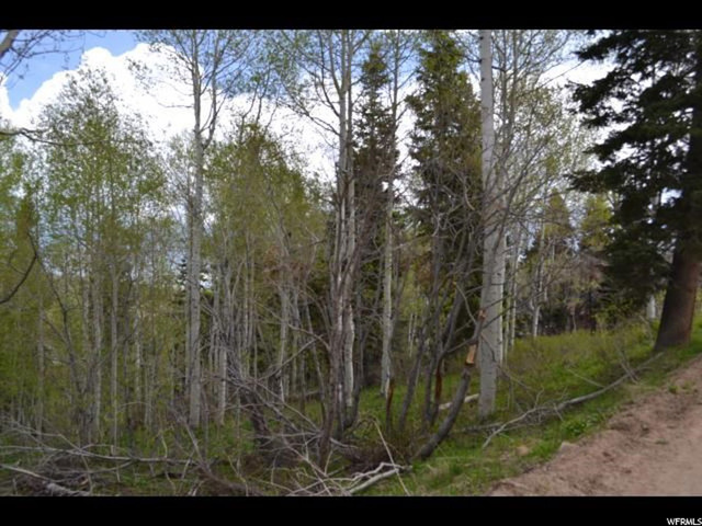 2110 W Pine Loop Rd #44, Wanship, UT 84017 — photo 3