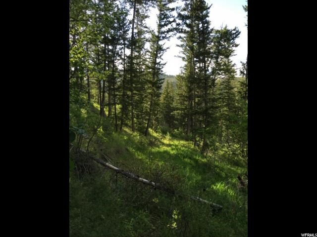 #D, Georgetown, ID 83239 — photo 3