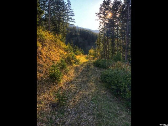 #D, Georgetown, ID 83239 — photo 6