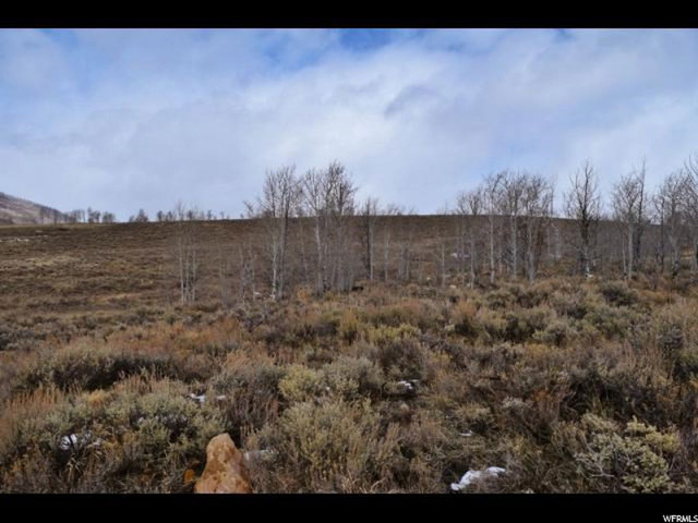 #59, Scofield, UT 84526 — photo 3