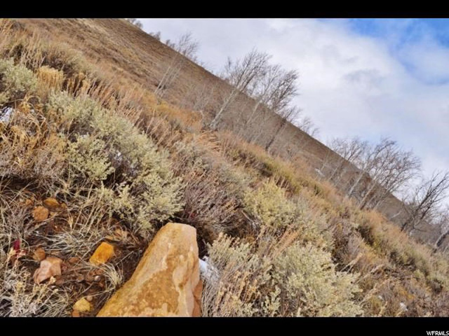 #59, Scofield, UT 84526 — photo 6