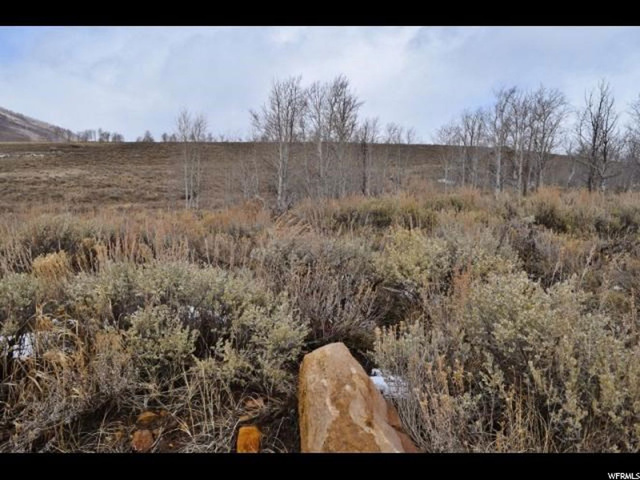 #59, Scofield, UT 84526 — photo 4