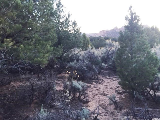 Torrey, UT 84775 — photo 7
