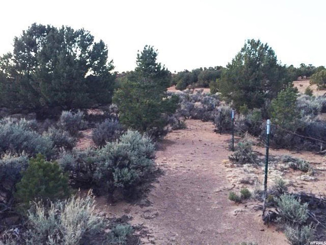 Torrey, UT 84775 — photo 4