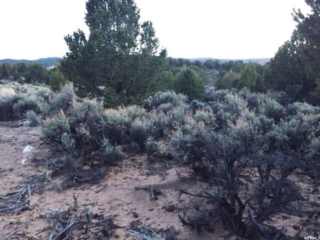 Torrey, UT 84775 — photo 10