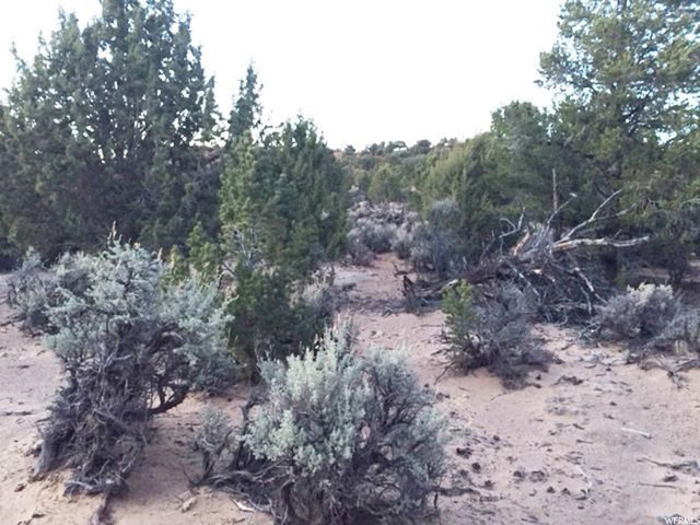 Torrey, UT 84775 — photo 8