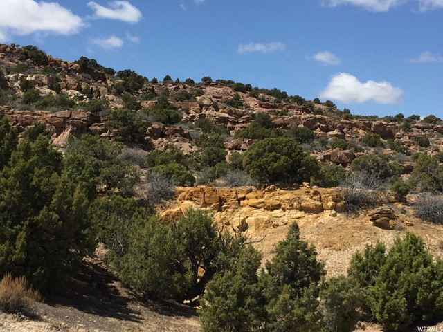 #14B, Roosevelt, UT 84066 — photo 7