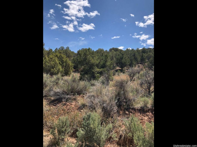 #4, Fruitland, UT 84027 — photo 10